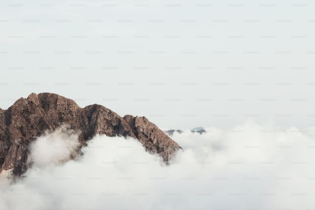 普京与特朗普新一轮会谈何时进行?俄方回应:可能是近期